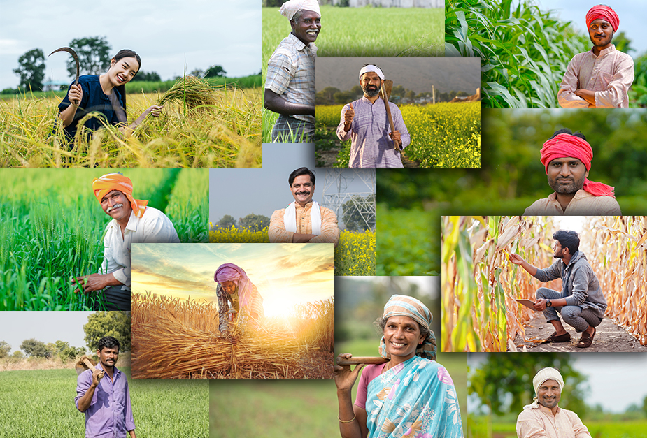 The collage consists of multiple smaller images, each showing individuals involved in agricultural work
